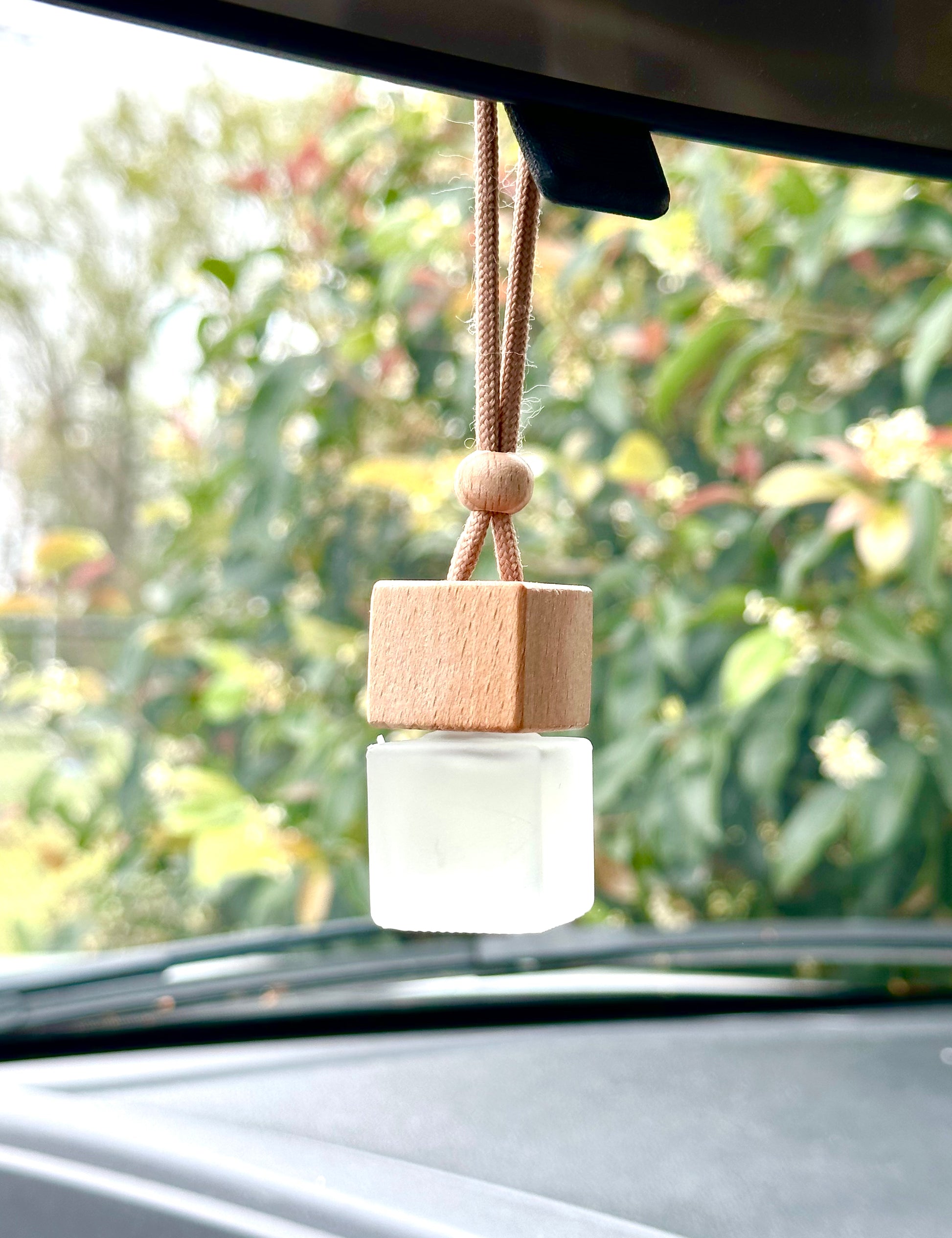 Car Diffuser